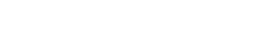 Project Paragon
